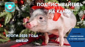 Итоги - амбар 520 000 руб.