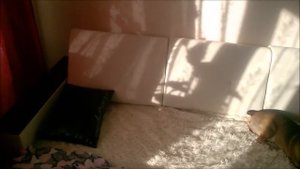 Подушки 2 часть от дивана Атлант из много мебели. Груша - Пуф.