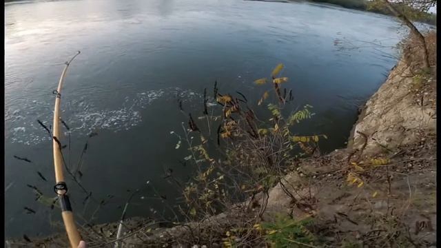 Рыбалка в КБР Сазаны монстры 2