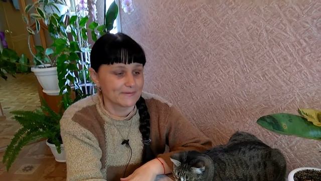 Я не потерялась // Немного о цветах // Что у нас на обед смотреть онлайн