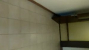 начинаем искать приведений