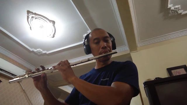 Yamaha flute yfl 272 open hole with 'E' mechanics ( review ) after di servis by @harryrepairs смотреть онлайн