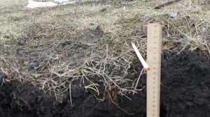 Голден маск 5+SE катушка Марс Тайгер.