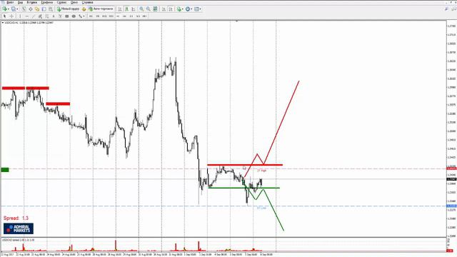 Прогноз рынка форекс на основе системы Price Action с Романом Исаковым 6 сентября 2017 смотреть онлайн