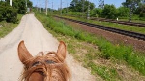 Верховая езда по пересеченной местности от первого лица. Снято на телефон