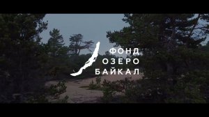 Лесовосстановление у берегов Байкала. 2023 год
