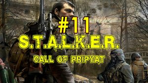 S.T.A.L.K.E.R: Call of Pripyat. Продолжение компании в игре. Одиннадцатый стрим #stalker