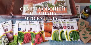Обзор недорогих семян овощей из гипермаркета АШАН. Что купила себе?!