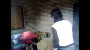 Приколы с током!