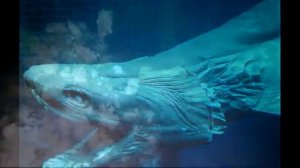 Поймана самая древняя акула пережившая динозавров!