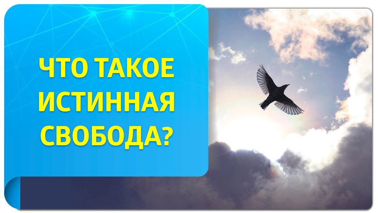 Что такое истинная свобода в Трансерфинге?