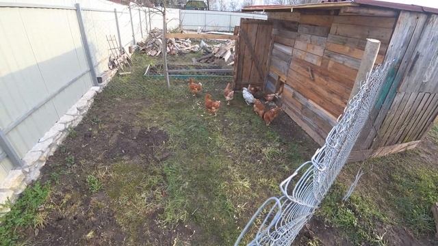 ПЯТИЛЕТКА ЗА ТРИ ДНЯ. ДЕРЕВЕНСКИЕ БУДНИ. КОРМУШКА ДЛЯ КУР СВОИМИ РУКАМИ. смотреть онлайн