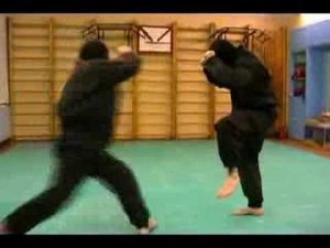 Лоу кик, Лоу кик в рукопашном бою