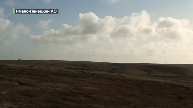 В ходе авиапатрулирования на побережье Карского моря обнаружены горы металлолома