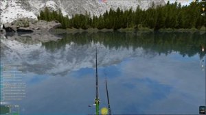 Желтопёр мелкочешуйный, открытие локации Сазаний нагул, игра Трофейная рыбалка 2