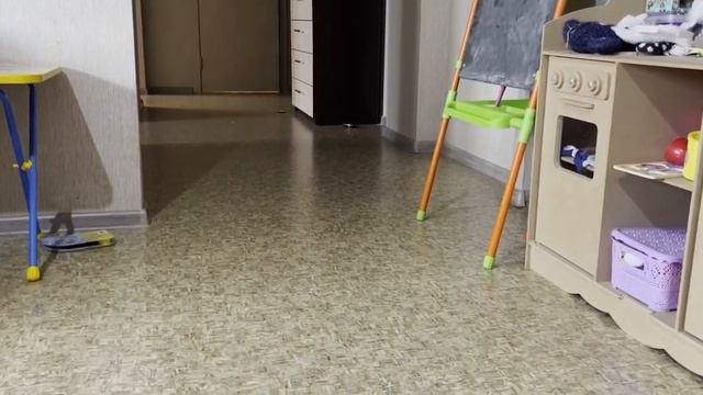 Машина радиоуправляемая «Мустанг», 1:16 смотреть онлайн