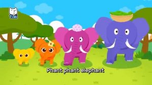 The Elephant Family | Family Love Song | Animal Song | Nursery Rhymes & Kids Songs