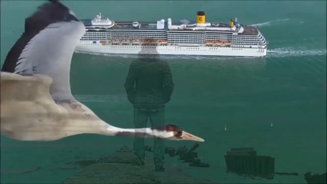 УЛЕТАЮТ ЖУРАВЛИ... Александр Харадуров. Авторская песня. Клип - Ирина Жукова-Каменских. смотреть онлайн