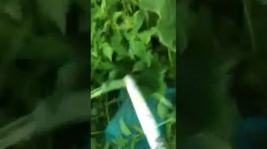 Тест Makita UM4030