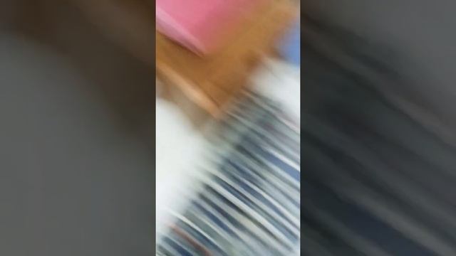 Как купать попугая неразлучников??