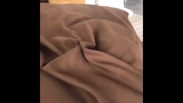 Обзор постельного белья Сатин Однотонный CS029 интернет-магазин ВильМари vilmari.ru смотреть онлайн