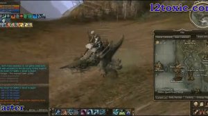 Road to NPC to sign Rune castle/ Дорога к НПЦ для регистрации на осаду замка Руны!