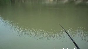 Рыбалка на реке Лебедь в Горном Алтае