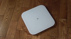 Xiaomi Smart Weight Scale REVIEW