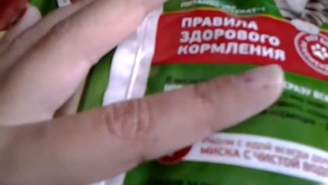 Каким кормом лучше кормить кошку