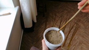 Плетена верба, Плетеная Ива своими руками, декоративное дерево своими руками. БЕСПЛАТНО.