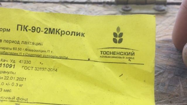 Чем кормить кроликов смотреть онлайн