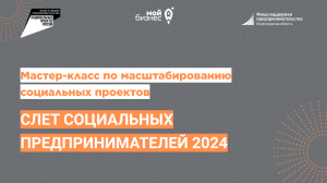 Мастер-класс по масштабированию социальных проектов от Анастасии Романенко (Слет социальных предприн