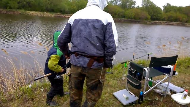 Команда Комратовых