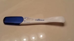 Clearblue Easy PREGNANCY TEST-LINE ON UNUSED TEST!