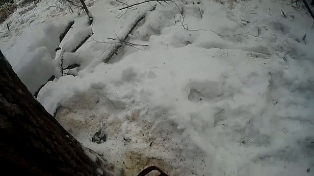 вдвоём в лесу,продолжаем заготовку дров,6№ двойная валка деревьев на дрова,