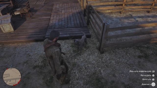 RDR2 где найти Собаку (Дворняга)
