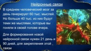 Что такое нейронные связи