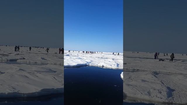 Снегоход "утопленник" смотреть онлайн