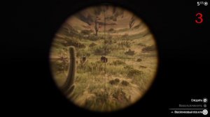 Где найти ПЕКАРИ в RDR2 | Превосходная шкура ошейникового пекари