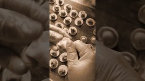 Домашние полуфабрикаты на заказ