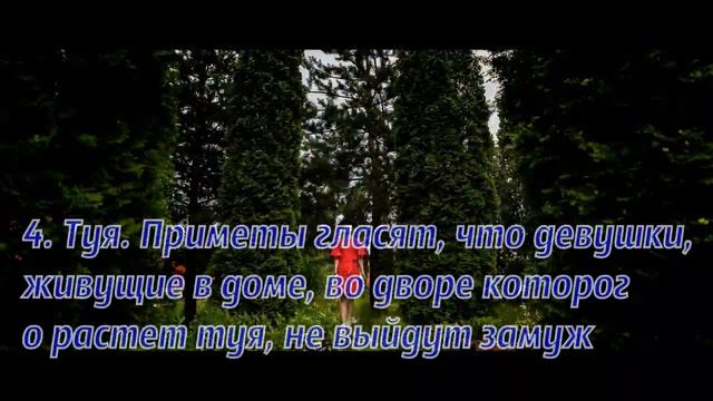 Какие деревья не стоит сажать на приусадебном участке?