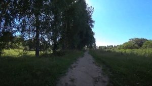Пешком через лес в п Юрью, Кировская область