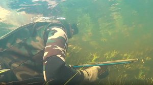 Подводный Псел