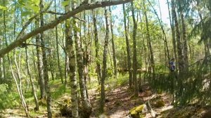 Линия Маннергейма. Часть1