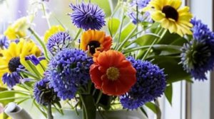 Доброго настроения - добрый день - открытки