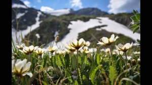 Чётки Богов. Глава 10. Учение сибирских шаманов. Аудиокнига.