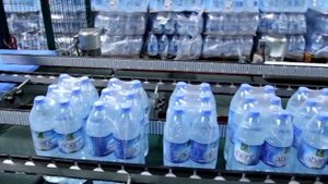 Паллетайзер для бутылок. Автоматический паллетайзер.