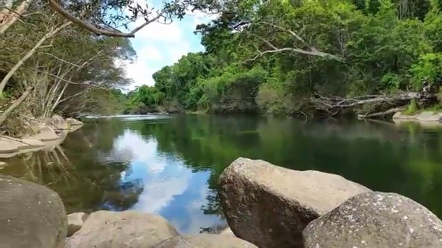 Crocodiles, Cassowary and Crystal Clear Streams in Northern Australia