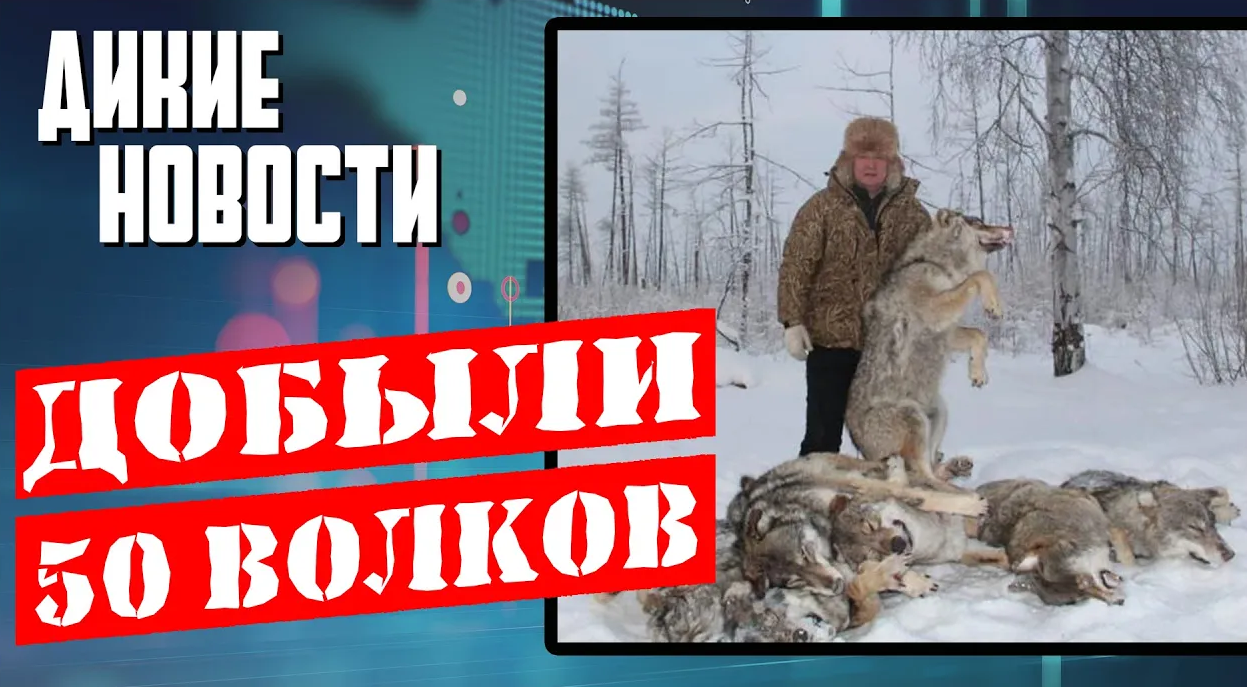 1 областная карта
