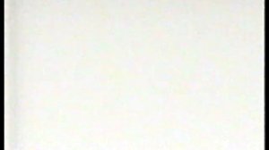 Кровавое лето Сэма - Summer of Sam(1999)[VHS](Сербин)